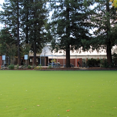 Artificial Turf Cost Terra Bella, California Landscape Design, Parks