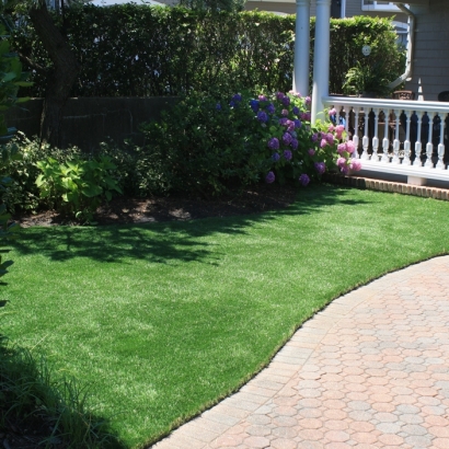 Artificial Turf Cost Vineyard, California Cat Playground, Front Yard Landscaping