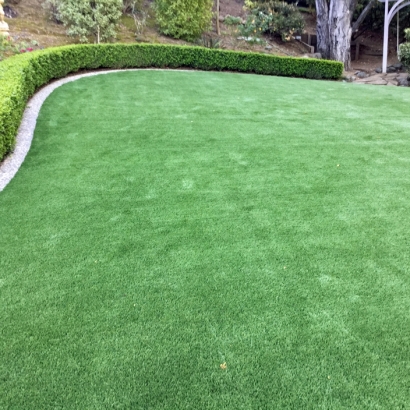 Artificial Turf Ford City, California Design Ideas, Backyard Designs