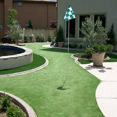 Artificial Turf Fruitdale, California Putting Greens, Backyard Landscaping
