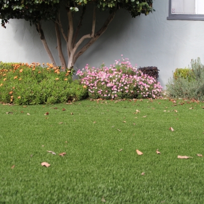 Artificial Turf Installation Pajaro, California Gardeners, Front Yard