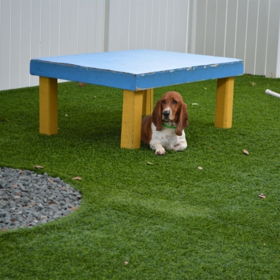 Artificial Turf Installation Rio Del Mar, California Artificial Turf For Dogs, Dogs Park