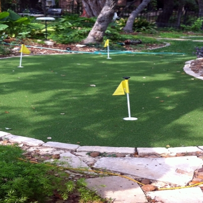 Best Artificial Grass Avenal, California Landscaping, Small Backyard Ideas