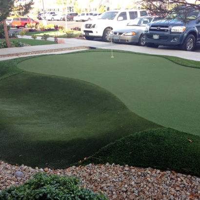 Best Artificial Grass Monmouth, California Design Ideas, Commercial Landscape