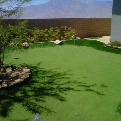 Best Artificial Grass Seaside, California Lawns, Beautiful Backyards