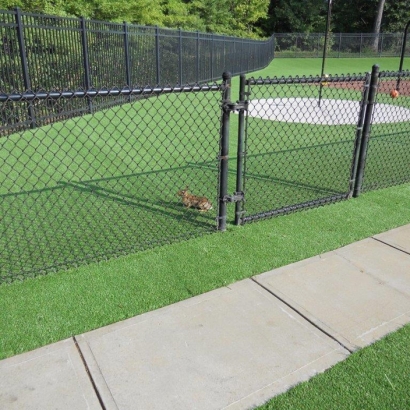 Fake Grass Carpet Lake Nacimiento, California Kids Indoor Playground, Recreational Areas