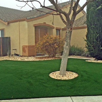 Fake Grass Carpet Lathrop, California Garden Ideas, Front Yard