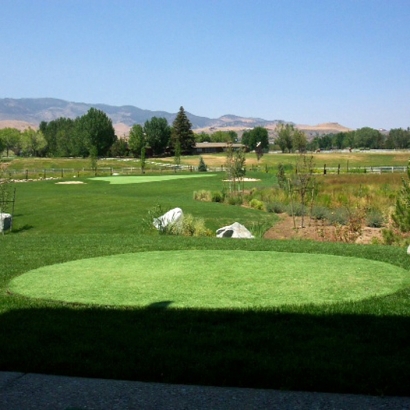 Fake Grass Carpet Lexington Hills, California Putting Greens, Backyard Design