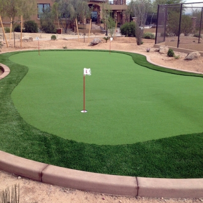 Fake Grass Carpet Mountain House, California Diy Putting Green, Backyard