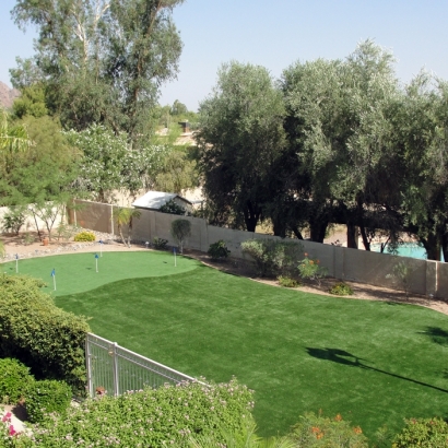Fake Grass Lone Pine, California Putting Green, Backyard Ideas