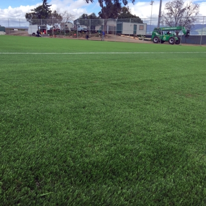 Fake Grass Murphys, California Sports Athority