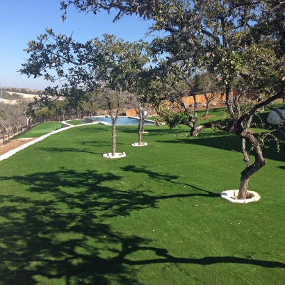 Fake Lawn Big Sur, California Putting Green Grass, Backyard Landscape Ideas