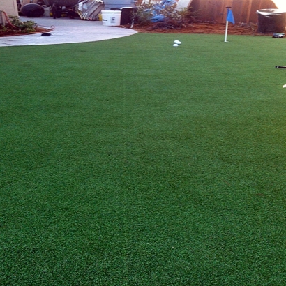 Fake Lawn Cantua Creek, California Indoor Putting Greens, Backyard Garden Ideas