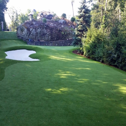 Fake Lawn Coulterville, California Putting Green Turf, Commercial Landscape