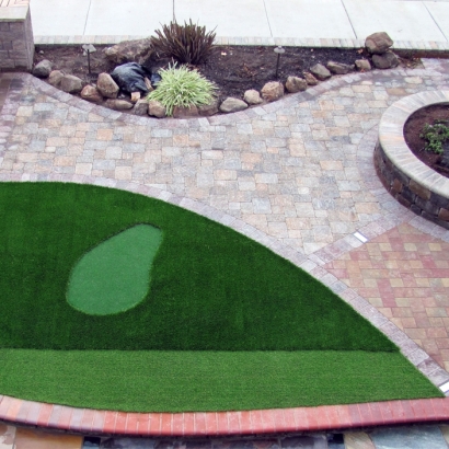 Fake Lawn Goshen, California Home And Garden, Front Yard Design