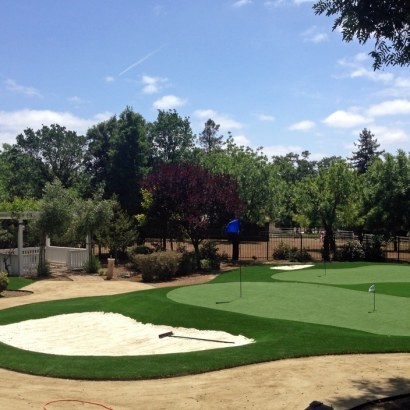 Fake Lawn Livingston, California Backyard Putting Green, Front Yard Landscape Ideas