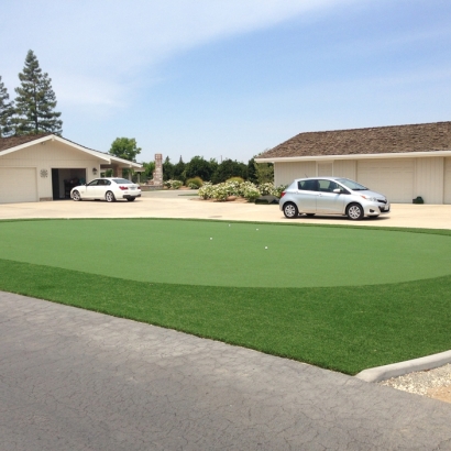 Fake Lawn Patterson, California Home And Garden, Front Yard Ideas
