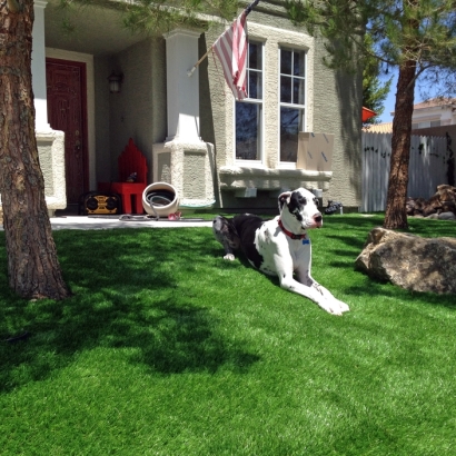 Fake Turf Bodfish, California Dog Grass, Front Yard Ideas