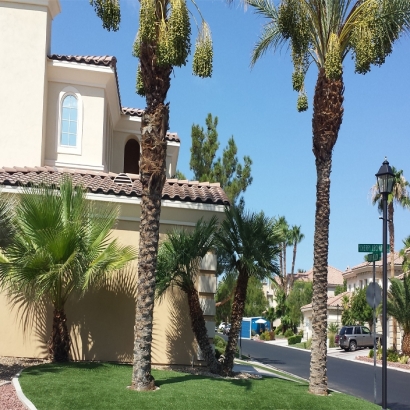 Fake Turf Castroville, California Garden Ideas, Front Yard Landscaping Ideas