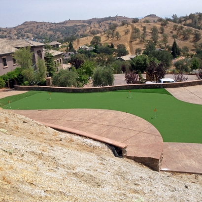 Fake Turf Wilkerson, California Office Putting Green, Backyard Landscaping Ideas