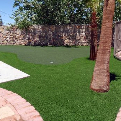 Faux Grass Coleville, California Putting Green Grass, Backyard Landscape Ideas