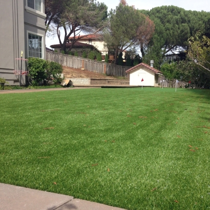 Faux Grass Dublin, California Landscaping, Backyard Garden Ideas