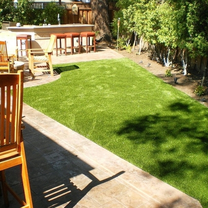Faux Grass El Portal, California Landscape Ideas, Backyard Garden Ideas