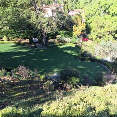 Faux Grass Morro Bay, California Design Ideas, Beautiful Backyards