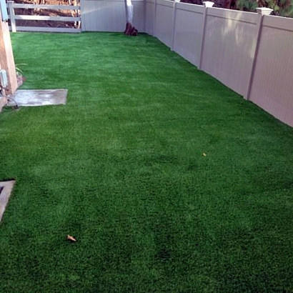 Grass Carpet June Lake, California Cat Grass, Backyard Makeover