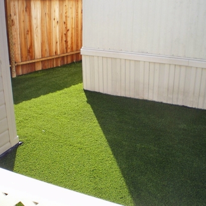 Grass Carpet Mesa, California Pet Paradise, Backyard Makeover