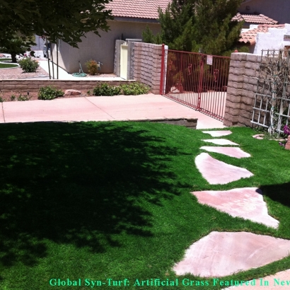 Grass Carpet Selma, California Dog Park, Front Yard Landscape Ideas