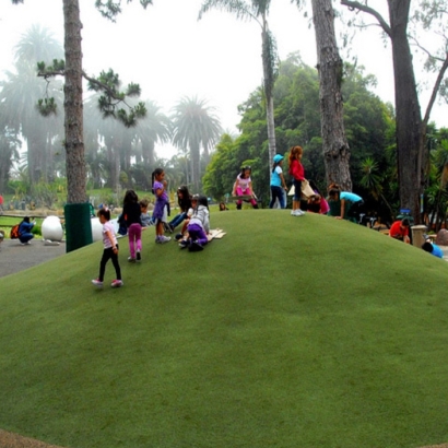 Grass Carpet Tonyville, California City Landscape, Recreational Areas