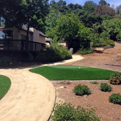 Grass Carpet Tres Pinos, California Backyard Putting Green, Front Yard Landscape Ideas