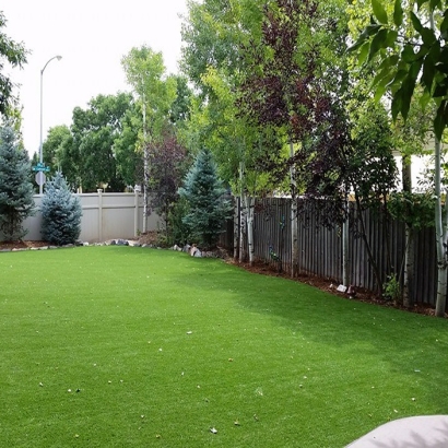 Grass Installation Paso Robles, California Landscaping Business, Backyard