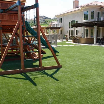 Grass Turf Allensworth, California Lawns, Backyard Landscaping Ideas