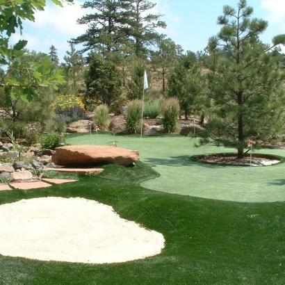 Grass Turf Rancho Calaveras, California Backyard Deck Ideas, Backyard Design