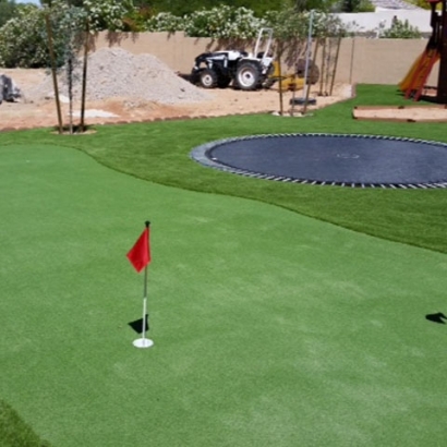 Green Lawn Pismo Beach, California Indoor Putting Green, Backyard Ideas