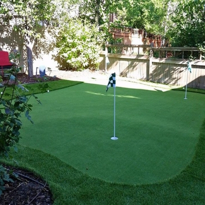 Green Lawn Salida, California Home Putting Green, Small Backyard Ideas