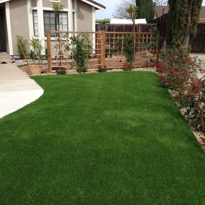 Green Lawn Taft Heights, California City Landscape, Front Yard Landscaping