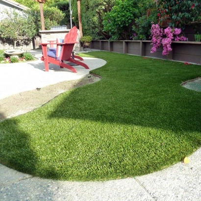 Lawn Services Moss Landing, California Pet Paradise, Backyard