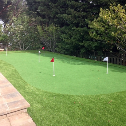 Lawn Services Thornton, California Indoor Putting Greens, Backyard Design