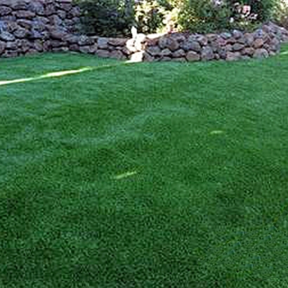 Outdoor Carpet Aptos, California Pet Turf, Backyard Landscaping