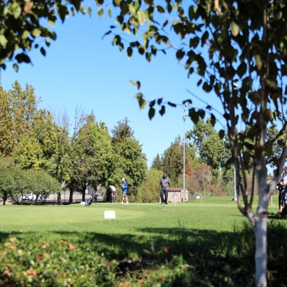 Outdoor Carpet Sunnyvale, California How To Build A Putting Green