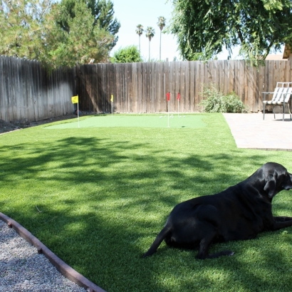 Outdoor Carpet Watsonville, California Best Indoor Putting Green, Small Backyard Ideas