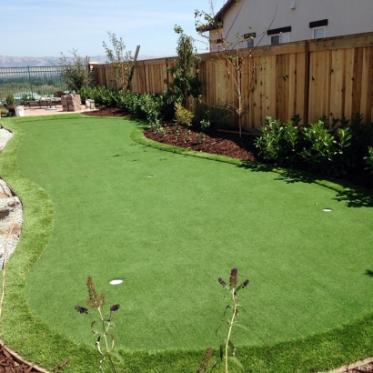 Plastic Grass Buena Vista, California Putting Green Carpet, Backyards