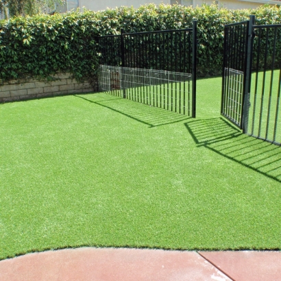 Plastic Grass Copperopolis, California Dog Grass, Landscaping Ideas For Front Yard