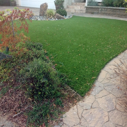 Plastic Grass Delano, California Artificial Turf For Dogs, Backyard Designs