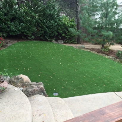 Plastic Grass Peters, California Landscape Ideas, Beautiful Backyards