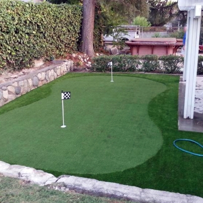 Synthetic Grass Cost Menlo Park, California Indoor Putting Greens, Backyard Garden Ideas