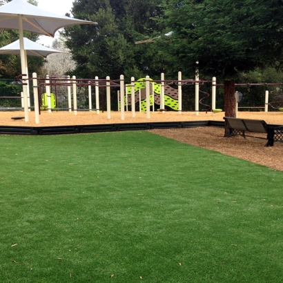 Synthetic Grass Dogtown, California Lacrosse Playground, Backyard Garden Ideas